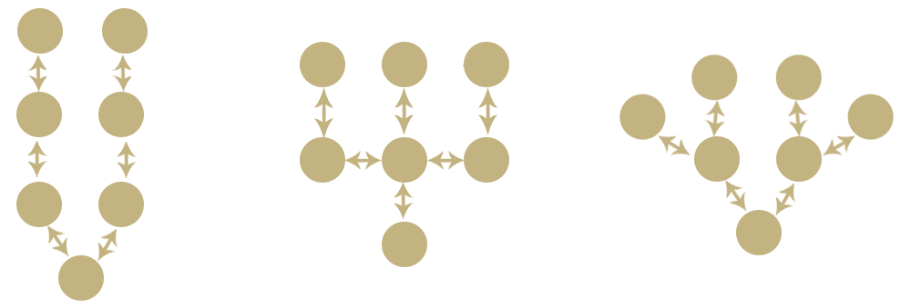 branch